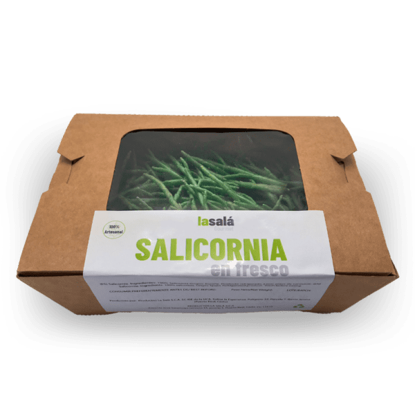 salicornia precio